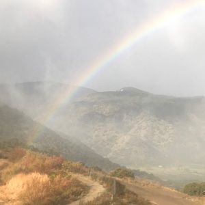 Meet your Posher, Kristie